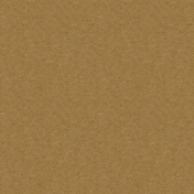 Kraft Papers- Set 01- Texture 03