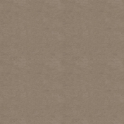 Kraft Papers- Set 01- Texture 05