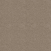 Kraft Papers- Set 01- Texture 05