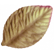 Oh Baby, Baby- Brown Craft Leaf