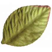 Oh Baby, Baby - Green Craft Leaf