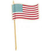 Space Explorer- USA Wavy Flag