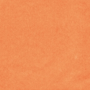 Oh Baby, Baby- Solid Paper- Orange