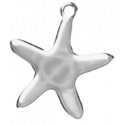 Star Fish Charm