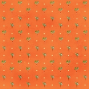 Carrot Paper