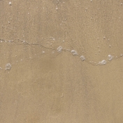 Beach Textures Paper- Sand 02