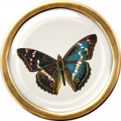 Ephemera Butterfly Brad 04