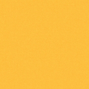 Boozy Beer Paper- Orange