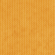 Argyle 11- Orange