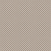 Winter Plaid- Polka Dot Paper