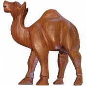 Egypt Wood- Camel