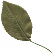 Leaf 012