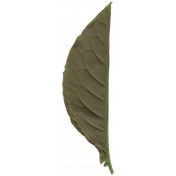 Leaf 014