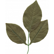 Leaf 015