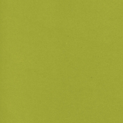 Mexico Solid Paper- Green Olive