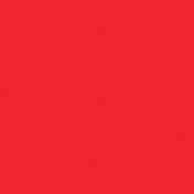 City Bicycle Solid Paper- Red