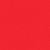 City Bicycle Solid Paper- Red