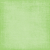 Green Paper 2