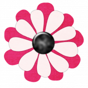 Pink Pink Flower