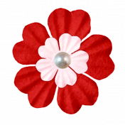 Red Pink Pearl Flower