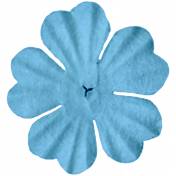 Light Blue Flower