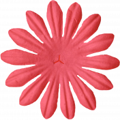 Pink Flower