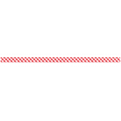 Red Gingham Ribbon