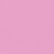 The Veggie Patch- Solid Pink Paper