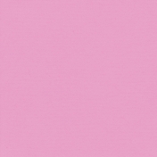 The Veggie Patch- Solid Pink Paper