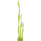 Sand And Beach - Beach Moss Plant