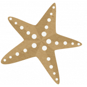 Sand And Beach- Starfish 2