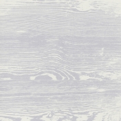 Buried Treasures Papers- Paper 04