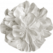 Independence White Flower