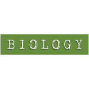 Biology Word Snippet