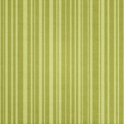 Tiny, But Mighty Green Striped Paper