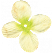 Small White Silk Flower