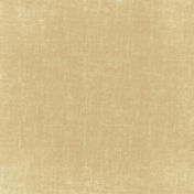 Oh Baby, Baby- Light Brown Solid Paper