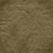 Pond Life- Crumpled Brown Paper