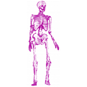 Spook Skeleton Purple