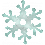 Snow Day Snowflake Teal 002