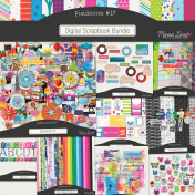 Fieldnotes #17 Bundle