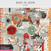 Birds in Snow Bundle