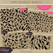 Bird Graphics Bundle