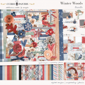 Winter Woods 