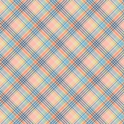 Alistair West Kit: Paper 16