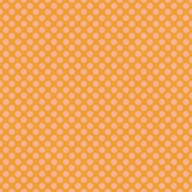 Josie: Paper 13