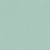 Amity: Paper 02