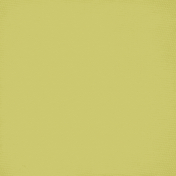 Olena: Solid05