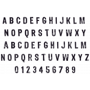 Liwen Alpha 01
