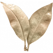 Liwen Leaf01